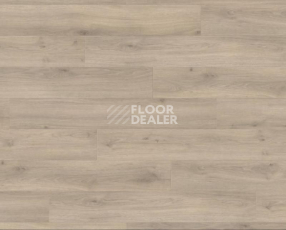 Ламинат Haro Tritty 100 4V ДУБ ЭМИЛИЯ ВЕЛЬВЕТ СЕРЫЙ 538695 фото 1 | FLOORDEALER